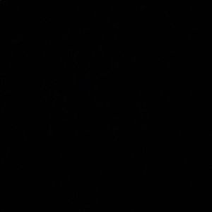 Designer boxes and bags